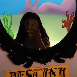 Meet your Posher, Destiny